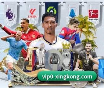 星空体育 APP(xingkong.com)